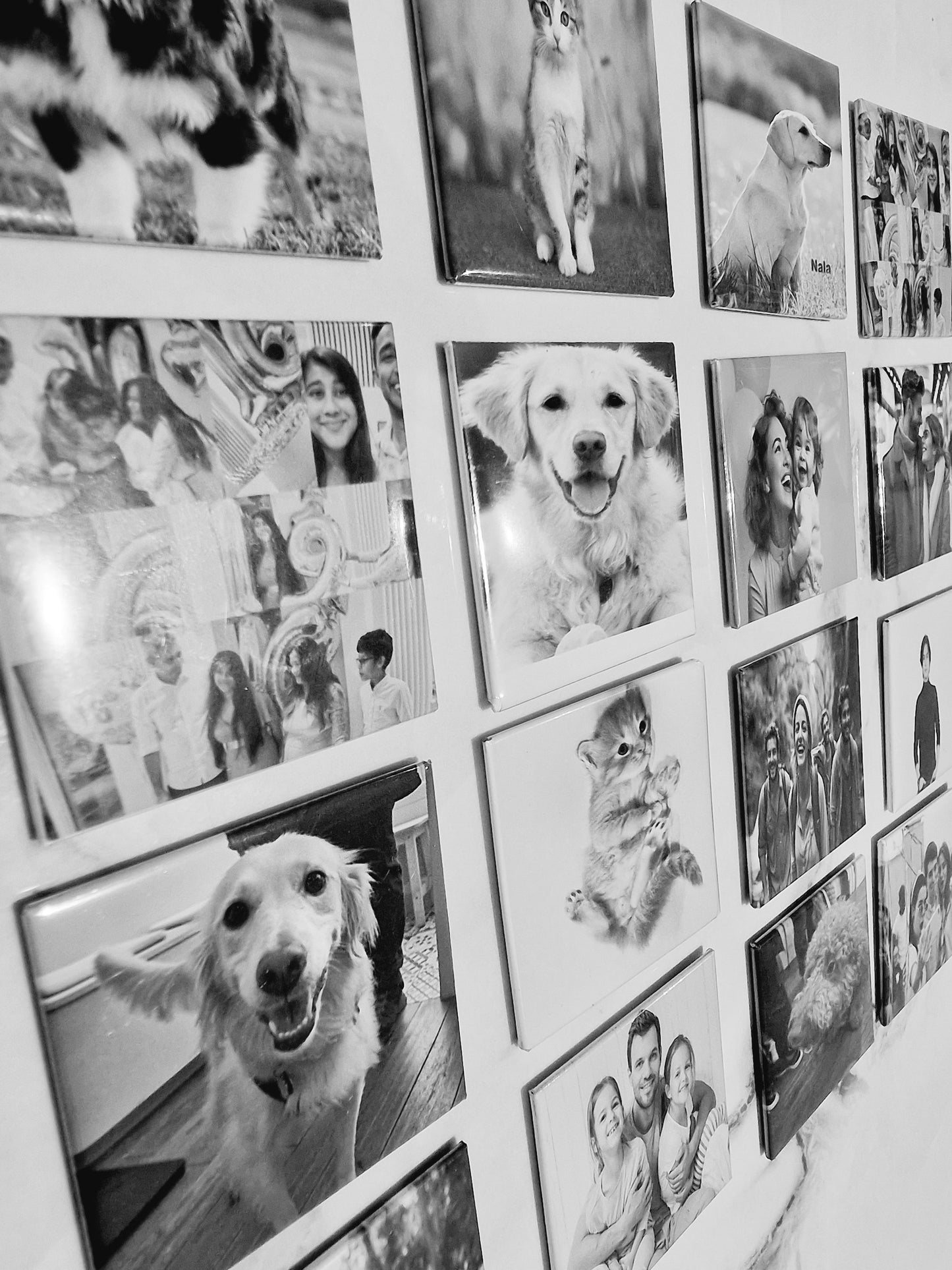 Set Of Customised Photo Magnets